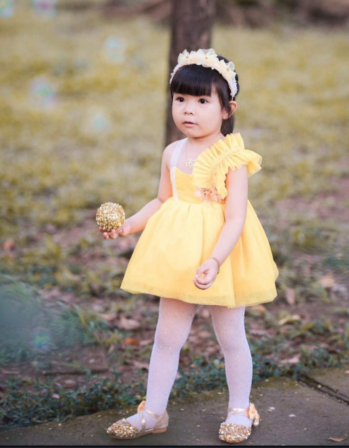 Lula Tulle Fairy Kids Dress
